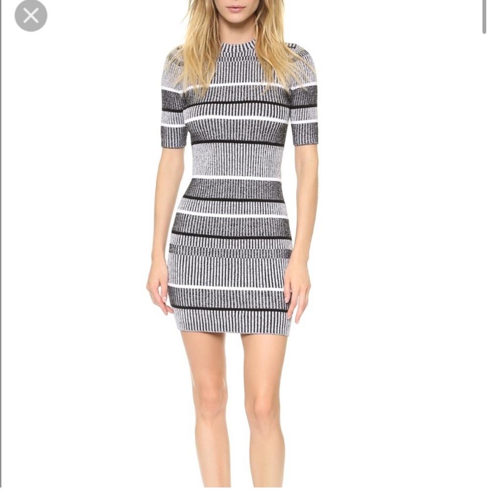 NWOT Alexander Wang mini dress sz 2